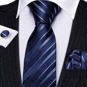 Brand new blue silk stripped tie - Barry Wang